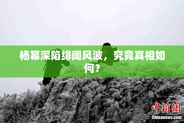 杨幂深陷绯闻风波，究竟真相如何？