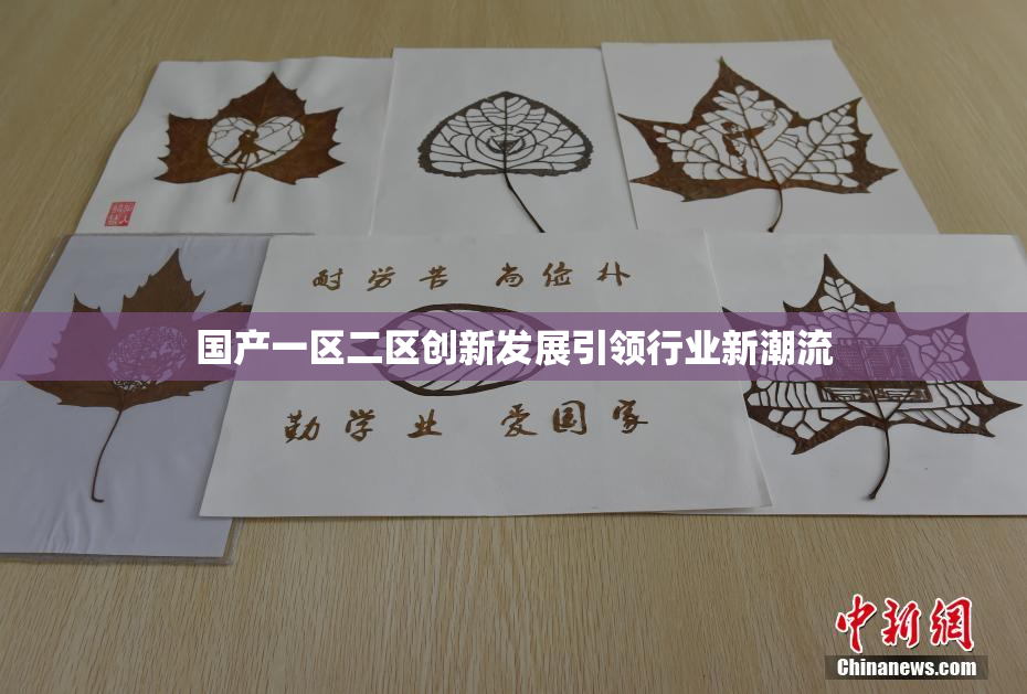国产一区二区创新发展引领行业新潮流