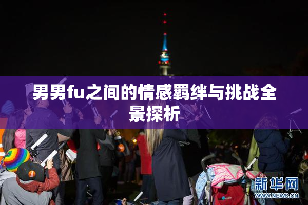 男男fu之间的情感羁绊与挑战全景探析