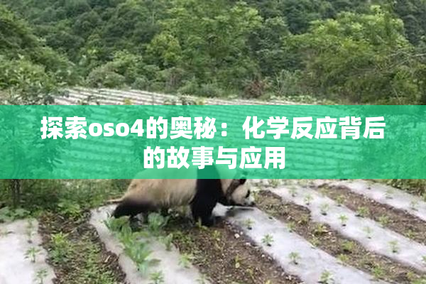 探索oso4的奥秘：化学反应背后的故事与应用