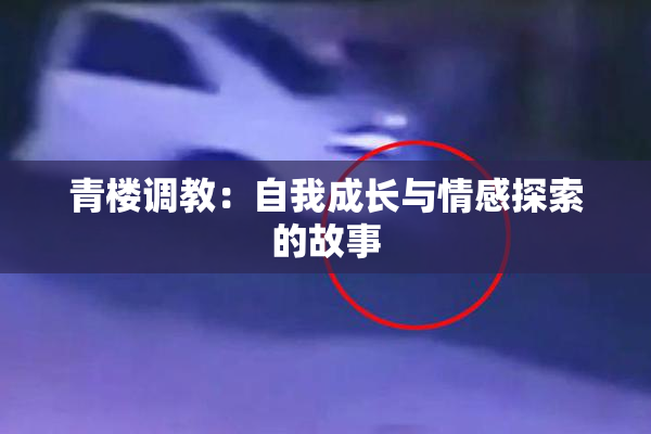 青楼调教：自我成长与情感探索的故事