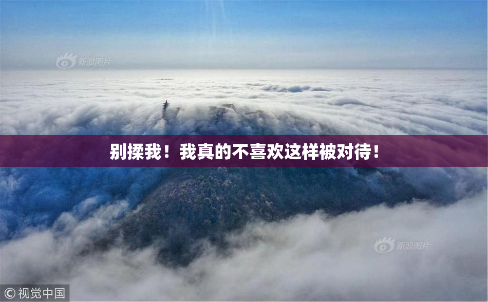 别揉我！我真的不喜欢这样被对待！