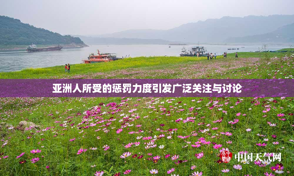 亚洲人所受的惩罚力度引发广泛关注与讨论