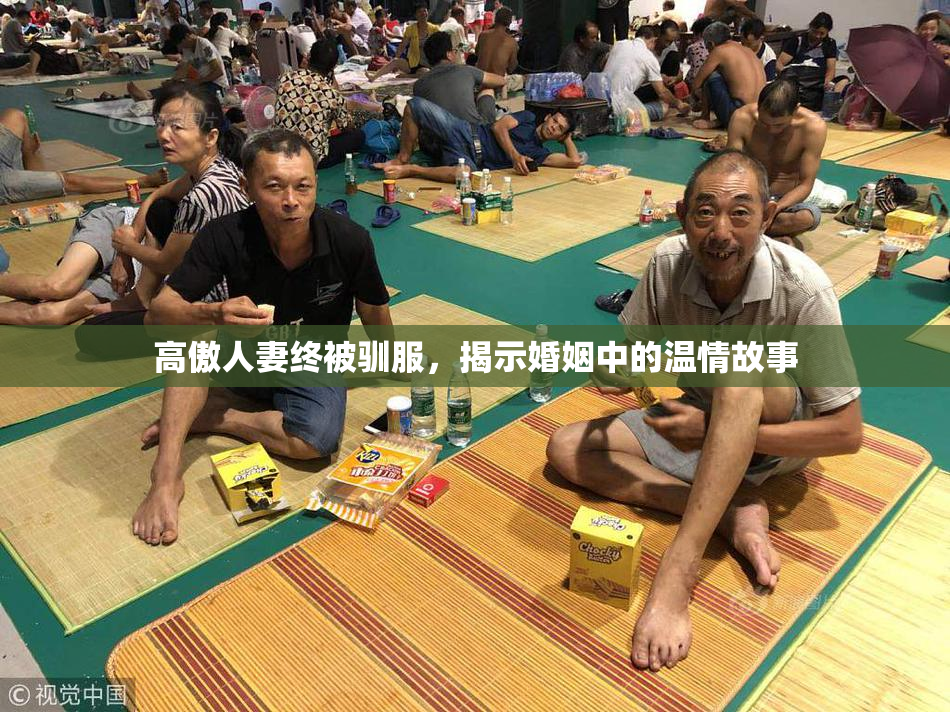 高傲人妻终被驯服，揭示婚姻中的温情故事