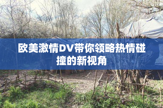 欧美激情DV带你领略热情碰撞的新视角