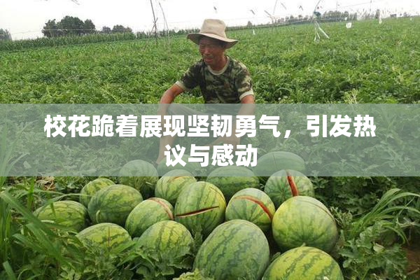 校花跪着展现坚韧勇气，引发热议与感动