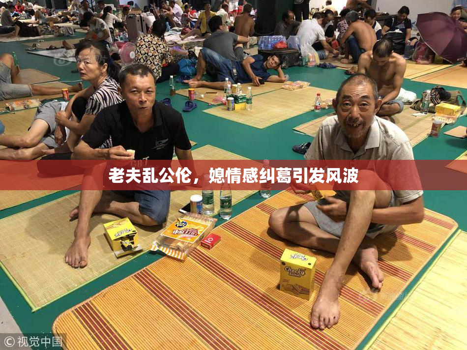 老夫乱公伦，媳情感纠葛引发风波