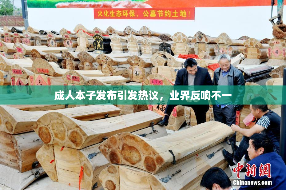 成人本子发布引发热议，业界反响不一