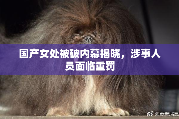 国产女处被破内幕揭晓，涉事人员面临重罚