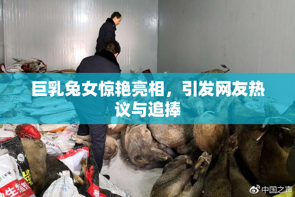 巨乳兔女惊艳亮相，引发网友热议与追捧