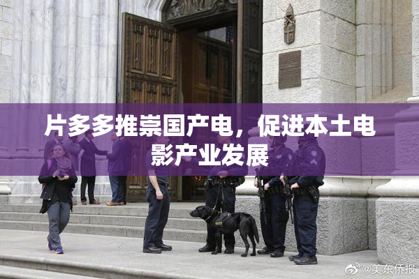 片多多推崇国产电，促进本土电影产业发展