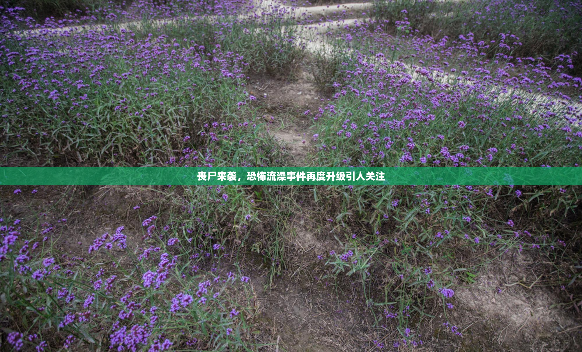 丧尸来袭，恐怖流澡事件再度升级引人关注