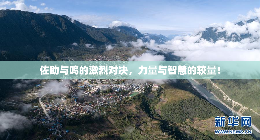 佐助与鸣的激烈对决，力量与智慧的较量！