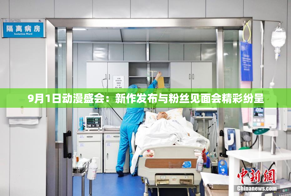 9月1日动漫盛会：新作发布与粉丝见面会精彩纷呈