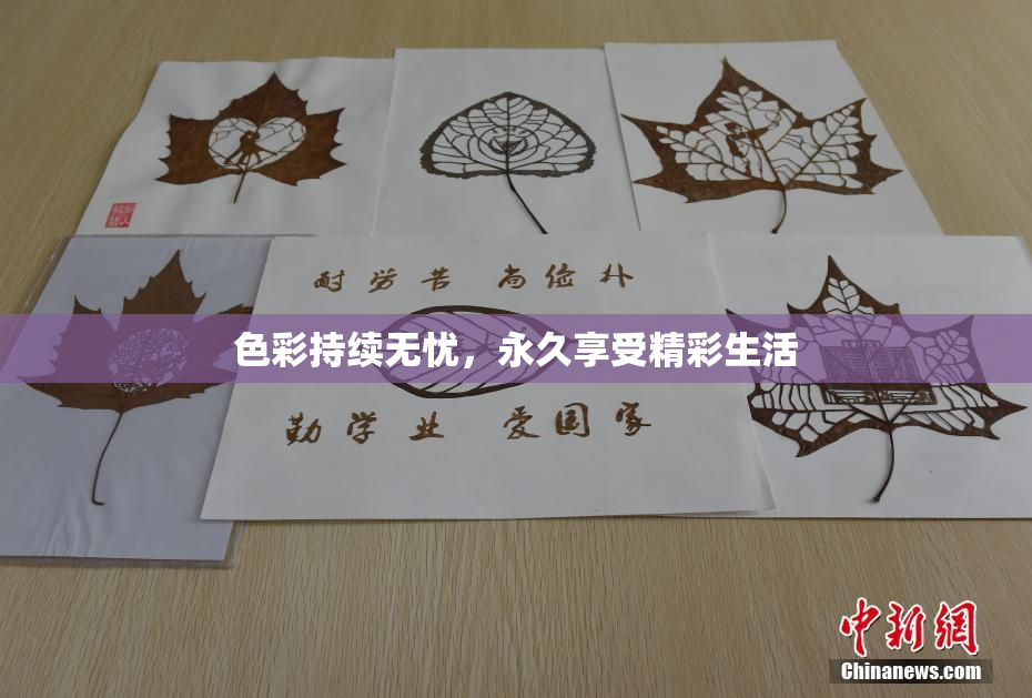 色彩持续无忧，永久享受精彩生活
