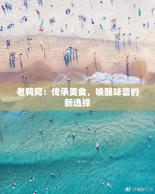 老鸭窝：传承美食，唤醒味蕾的新选择