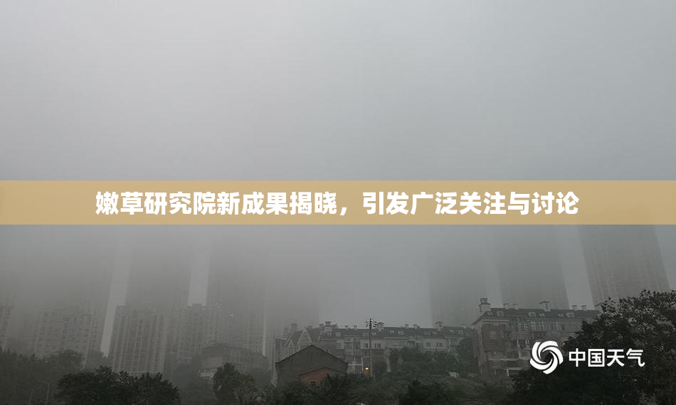嫩草研究院新成果揭晓，引发广泛关注与讨论