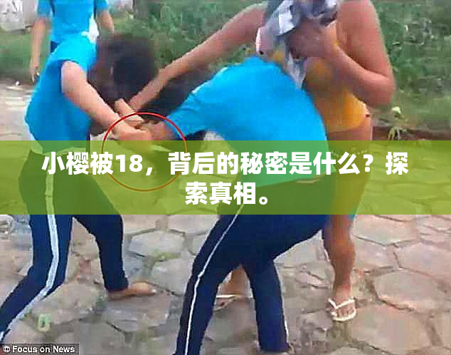 小樱被18，背后的秘密是什么？探索真相。