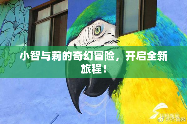 小智与莉的奇幻冒险，开启全新旅程！