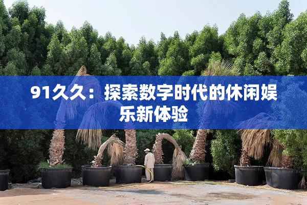 91久久：探索数字时代的休闲娱乐新体验