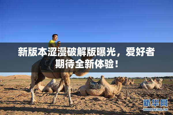 新版本涩漫破解版曝光，爱好者期待全新体验！