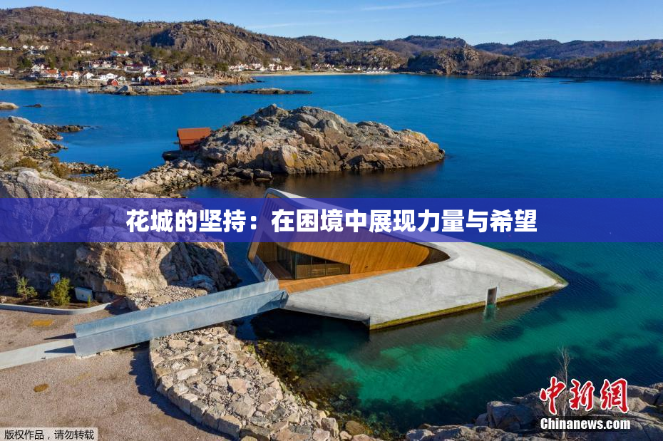 花城的坚持：在困境中展现力量与希望