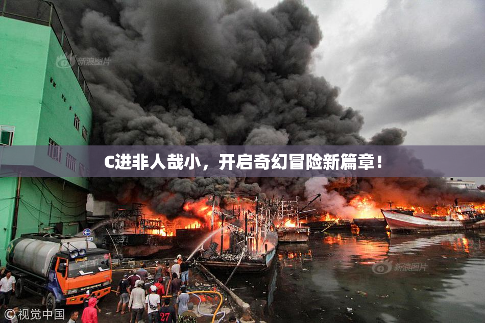 C进非人哉小，开启奇幻冒险新篇章！