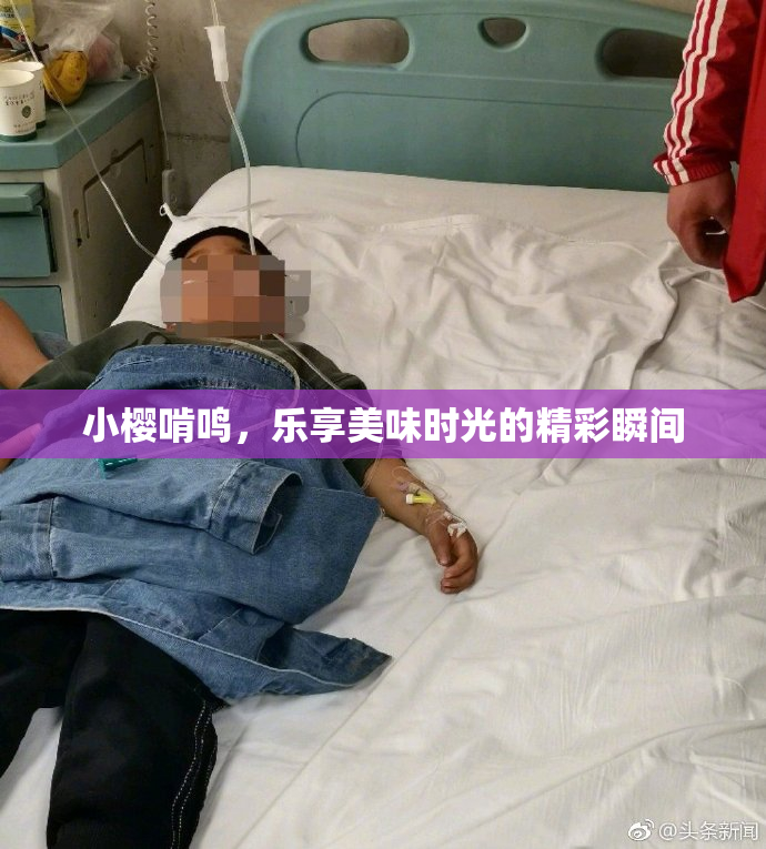 小樱啃鸣，乐享美味时光的精彩瞬间