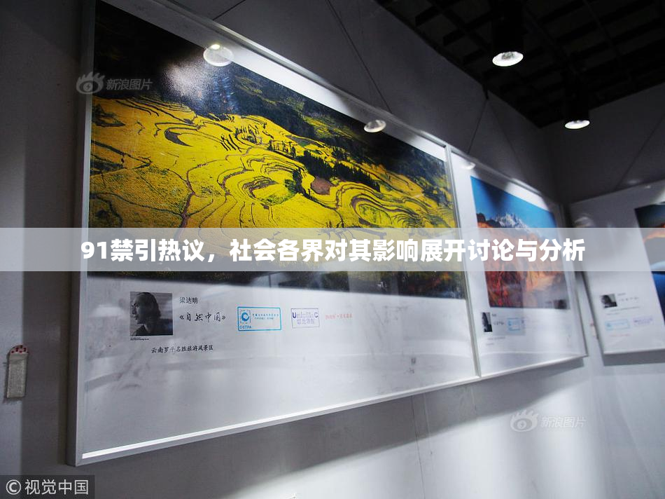 91禁引热议，社会各界对其影响展开讨论与分析