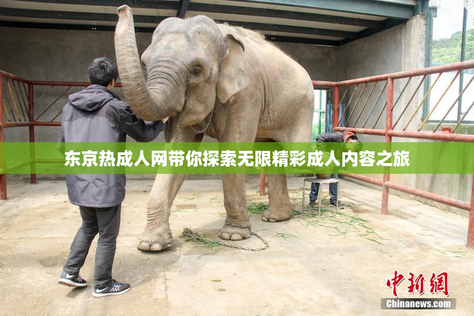 东京热成人网带你探索无限精彩成人内容之旅