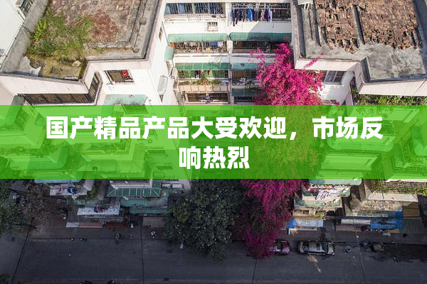 国产精品产品大受欢迎，市场反响热烈