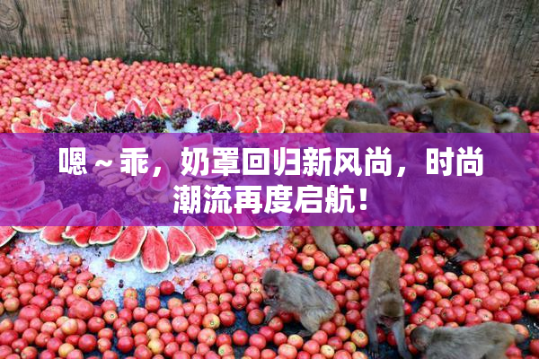 嗯～乖，奶罩回归新风尚，时尚潮流再度启航！