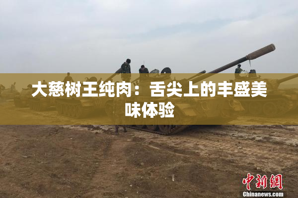 大慈树王纯肉：舌尖上的丰盛美味体验