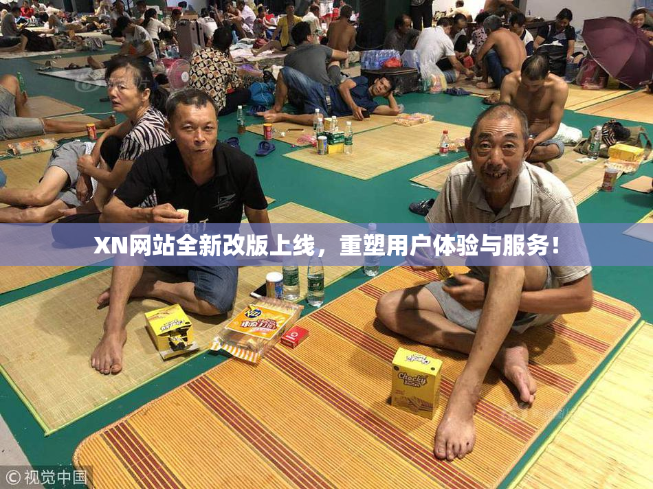XN网站全新改版上线，重塑用户体验与服务！