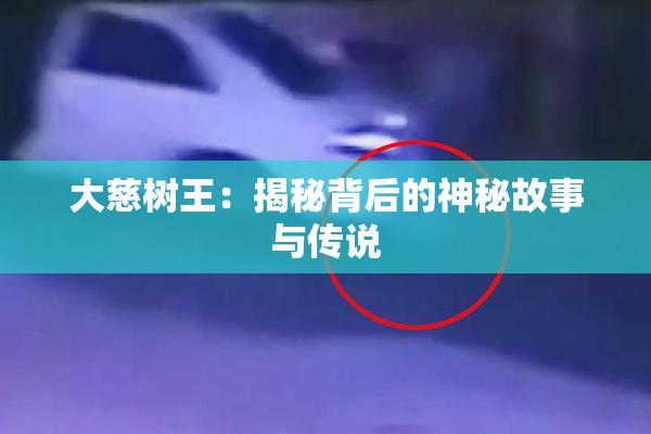 大慈树王：揭秘背后的神秘故事与传说