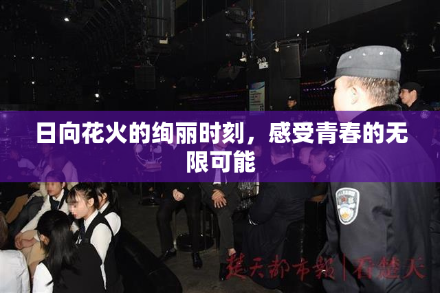 日向花火的绚丽时刻，感受青春的无限可能