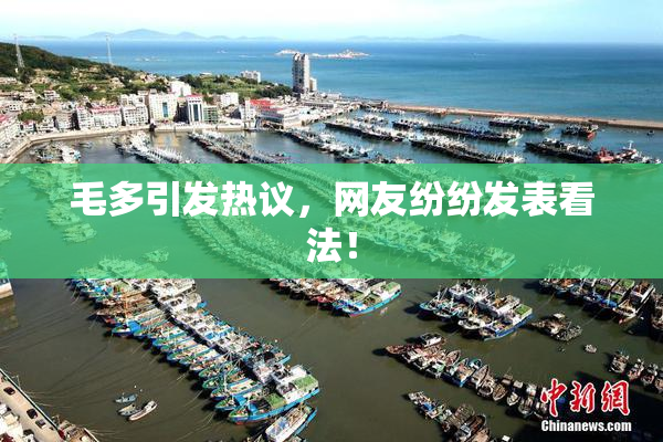 毛多引发热议，网友纷纷发表看法！