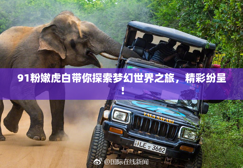 91粉嫩虎白带你探索梦幻世界之旅，精彩纷呈！