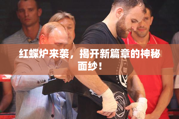 红蝶炉来袭，揭开新篇章的神秘面纱！