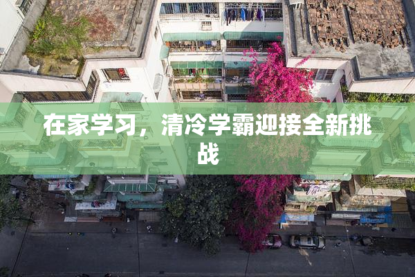 在家学习，清冷学霸迎接全新挑战
