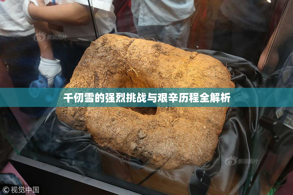 千仞雪的强烈挑战与艰辛历程全解析