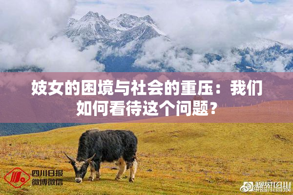 妓女的困境与社会的重压：我们如何看待这个问题？