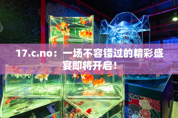 17.c.no：一场不容错过的精彩盛宴即将开启！