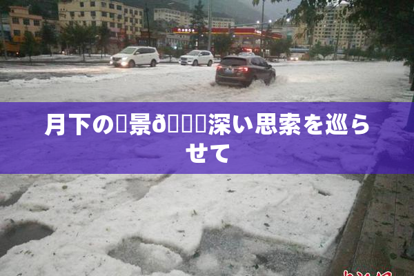 月下の風景🎆深い思索を巡らせて