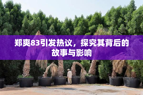 郑爽83引发热议，探究其背后的故事与影响
