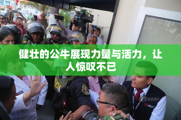 健壮的公牛展现力量与活力，让人惊叹不已