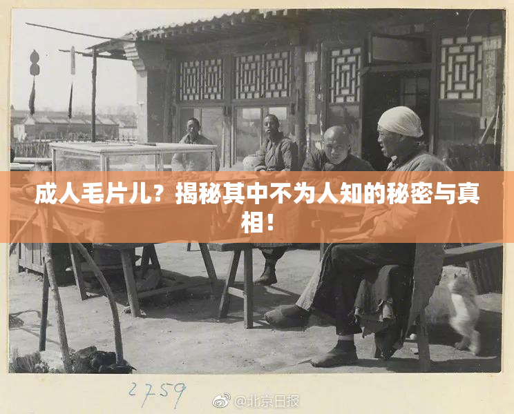 成人毛片儿？揭秘其中不为人知的秘密与真相！
