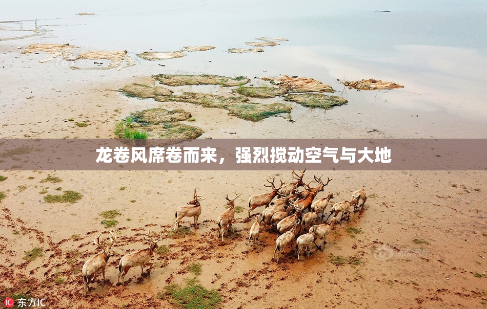 龙卷风席卷而来，强烈搅动空气与大地