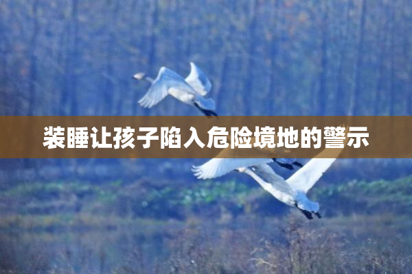 装睡让孩子陷入危险境地的警示