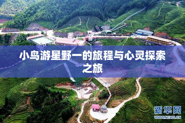 小鸟游星野一的旅程与心灵探索之旅